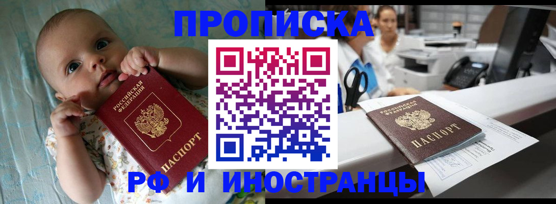 прописка поиск в Кольчугино