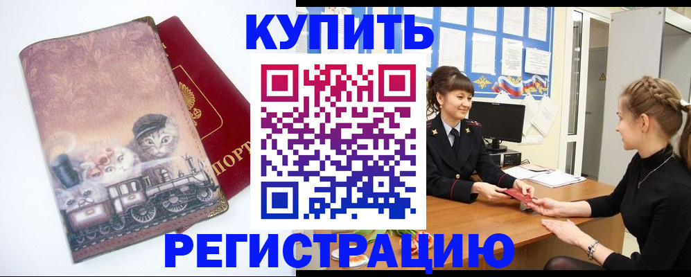 прописка 2025 в Кольчугино